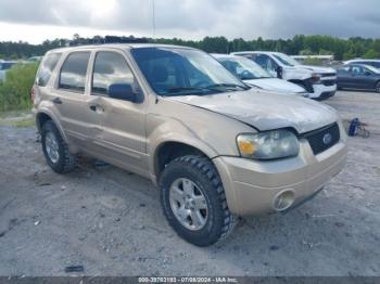  Salvage Ford Escape