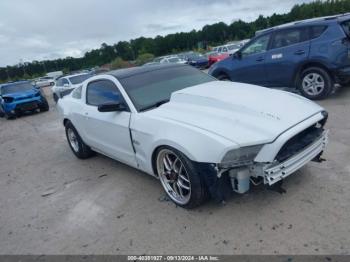  Salvage Ford Mustang