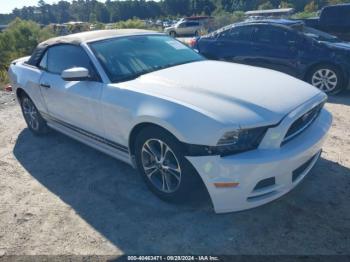  Salvage Ford Mustang