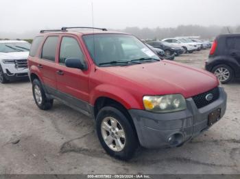  Salvage Ford Escape