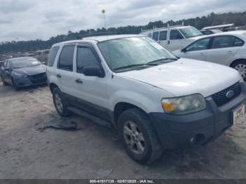  Salvage Ford Escape