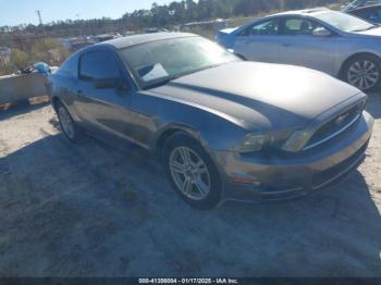  Salvage Ford Mustang