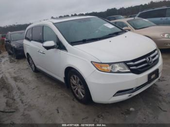  Salvage Honda Odyssey