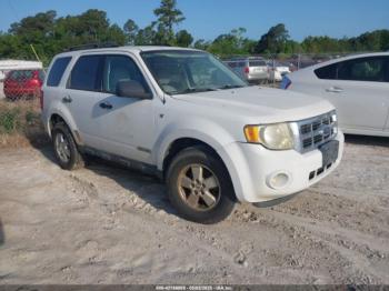  Salvage Ford Escape