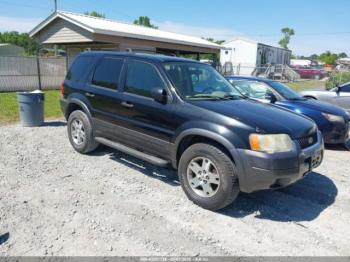  Salvage Ford Escape