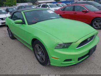  Salvage Ford Mustang