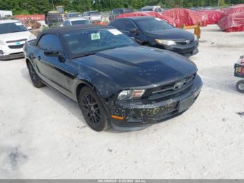  Salvage Ford Mustang