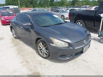  Salvage Nissan Maxima