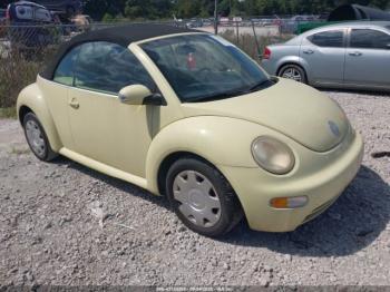  Salvage Volkswagen Beetle