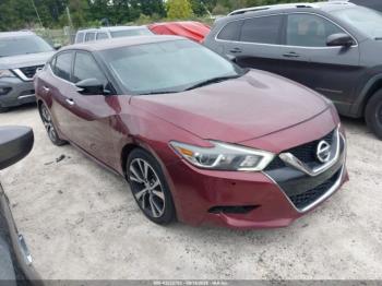  Salvage Nissan Maxima