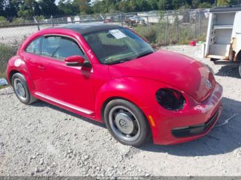  Salvage Volkswagen Beetle