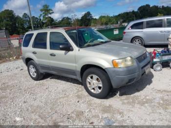  Salvage Ford Escape