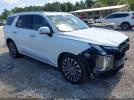 Hyundai PALISADE Calligraphy Image 1