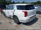 Hyundai PALISADE Calligraphy Image 3