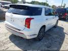 Hyundai PALISADE Calligraphy Image 2
