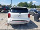Hyundai PALISADE Calligraphy Image 12
