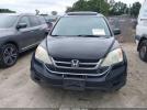 Honda CR-V Ex-l Image 5