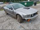 Ford Mustang Image 1