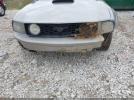 Ford Mustang Image 2