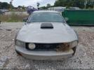 Ford Mustang Image 15