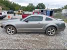 Ford Mustang Image 3