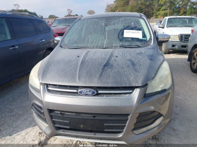 Ford Escape Sel Image 8