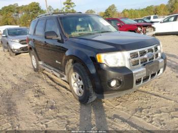  Salvage Ford Escape