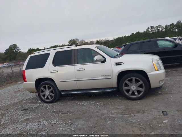 Cadillac Escalade Luxury Image 11
