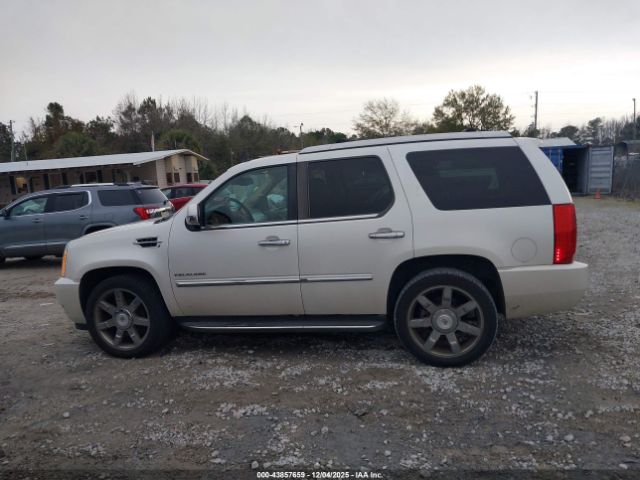 Cadillac Escalade Luxury Image 2