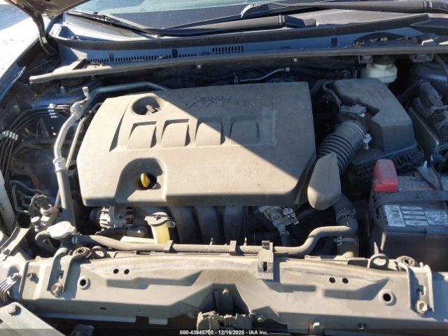 Toyota Corolla Le Image 14