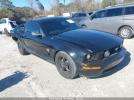 Ford Mustang Image 1
