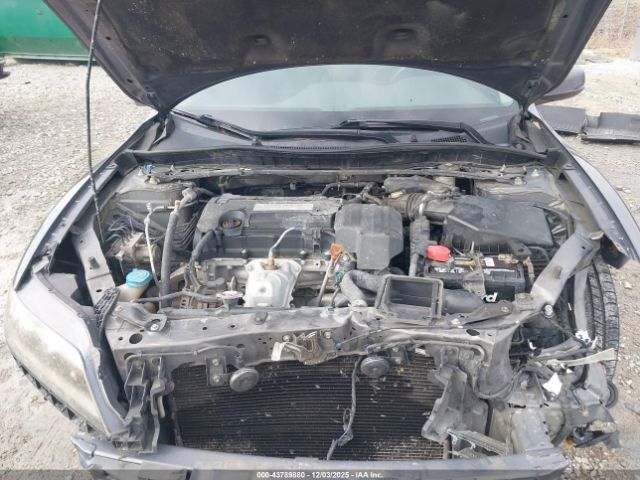 Honda Accord Ex-l Image 15
