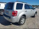 Ford Escape Xlt Image 4