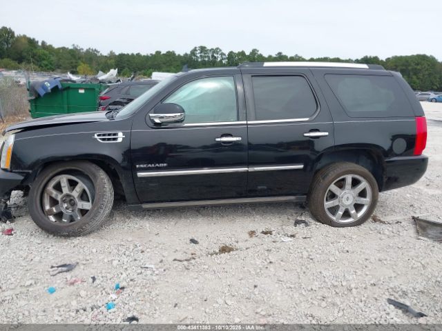 Cadillac Escalade Premium Image 13